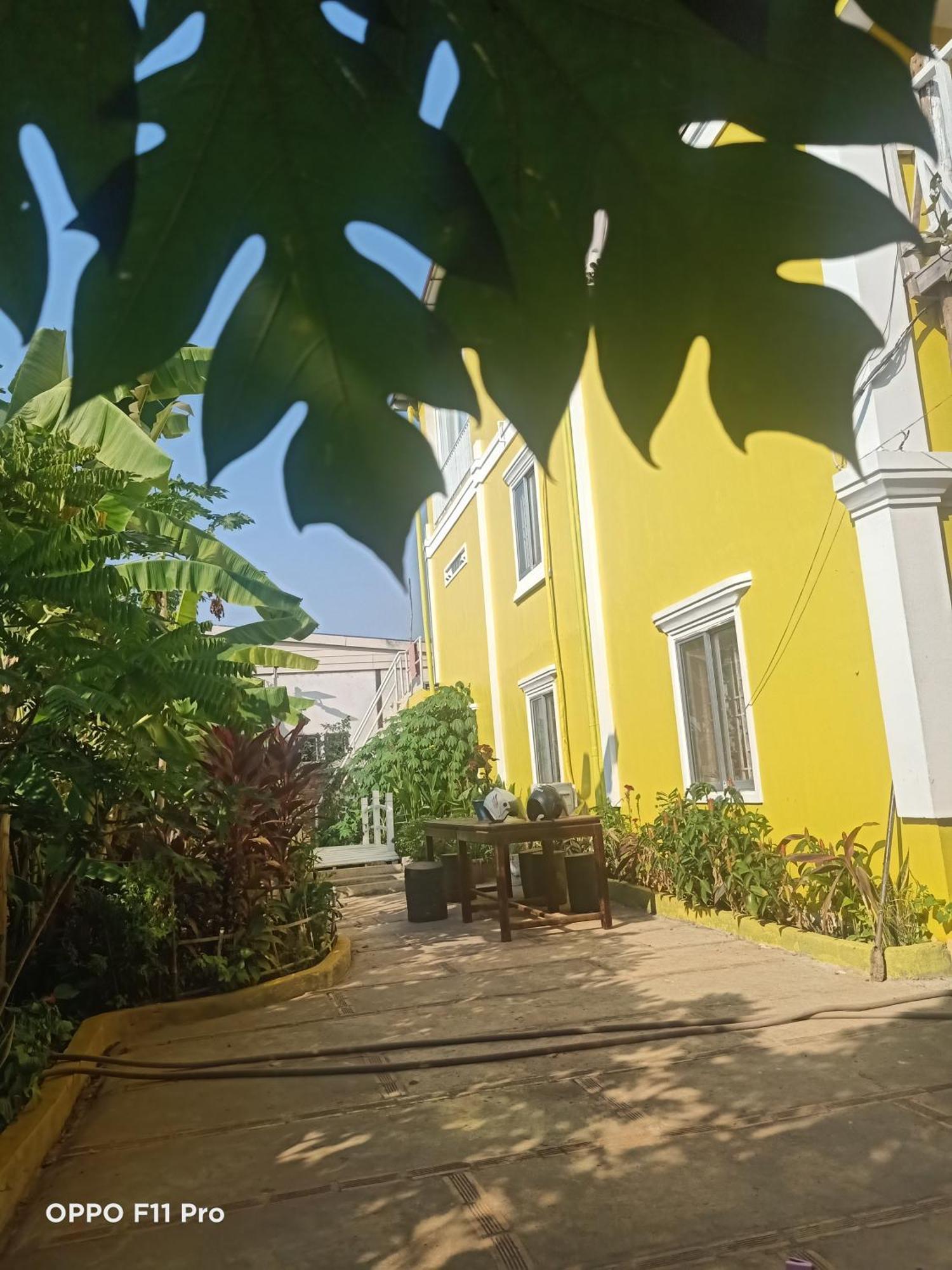 Homestay Yellow Natural House Siem Reap Bagian luar foto
