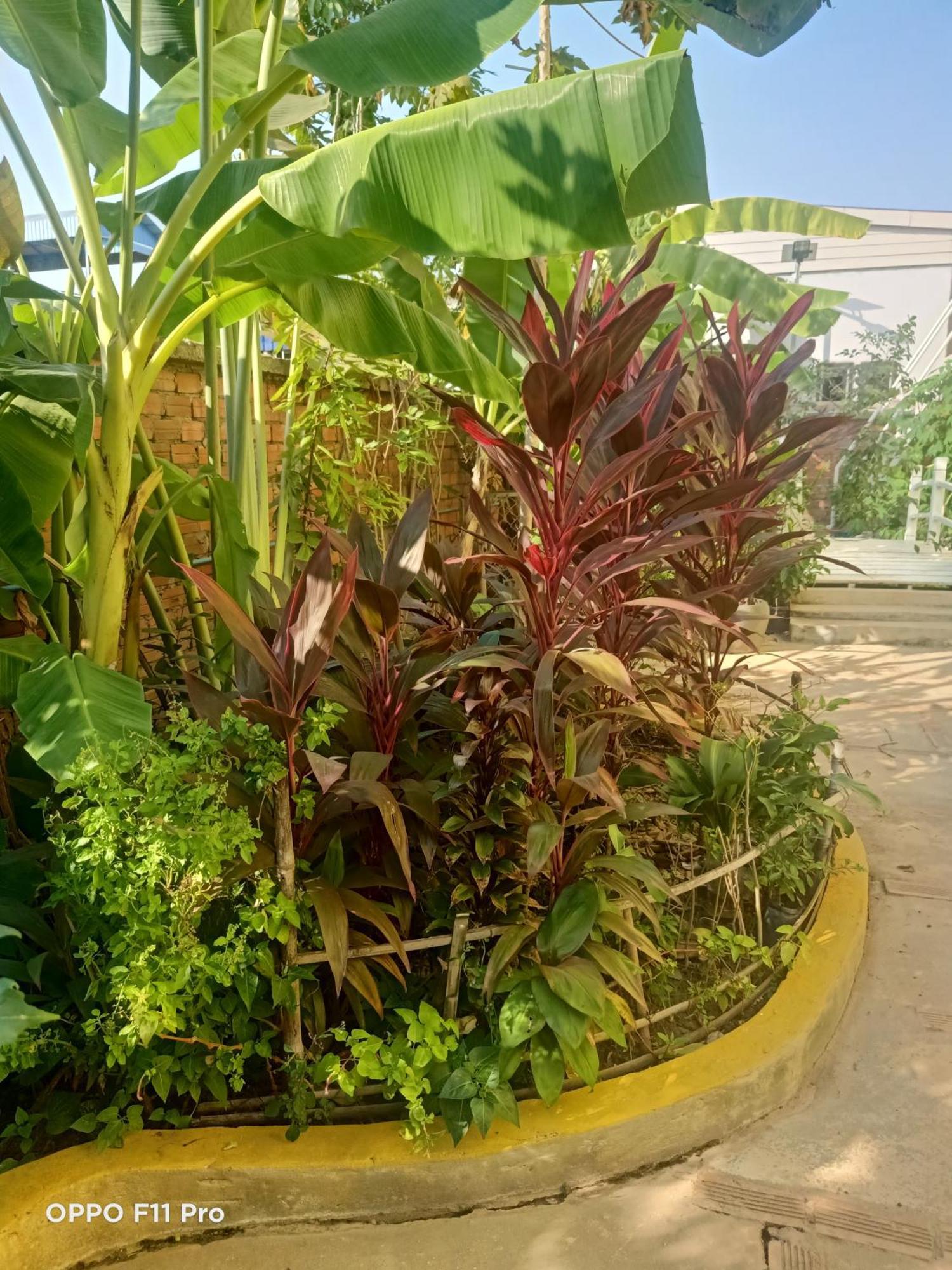 Homestay Yellow Natural House Siem Reap Bagian luar foto