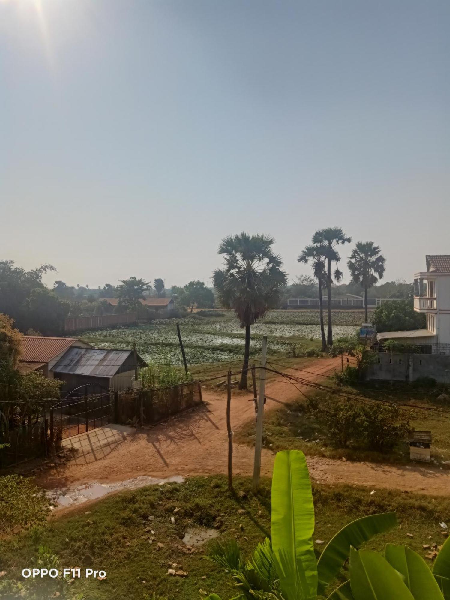 Homestay Yellow Natural House Siem Reap Bagian luar foto