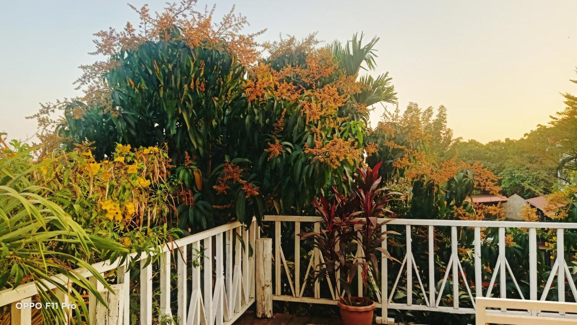 Homestay Yellow Natural House Siem Reap Bagian luar foto