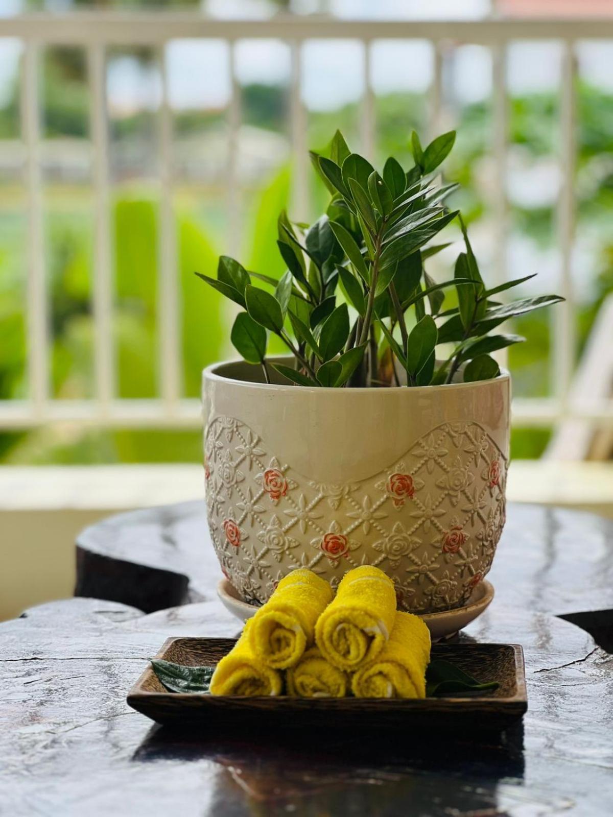 Homestay Yellow Natural House Siem Reap Bagian luar foto